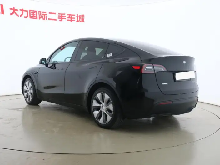 Model Y 2021 Model Standard Battery Life Rear-wheel drive version – фото 4