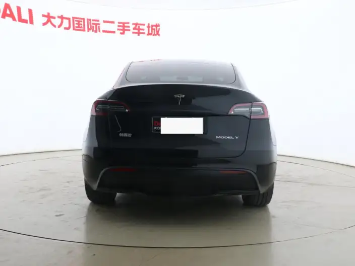 Model Y 2021 Model Standard Battery Life Rear-wheel drive version – фото 5