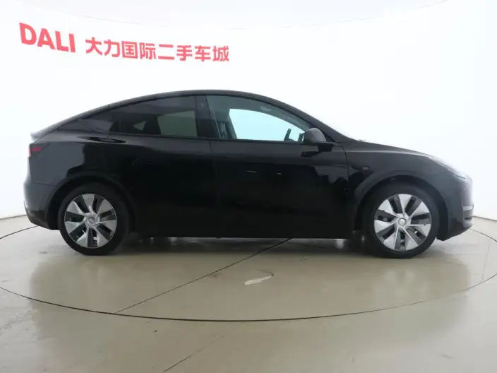Model Y 2021 Model Standard Battery Life Rear-wheel drive version – фото 6