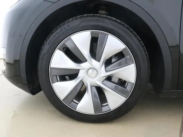 Model Y 2021 Model Standard Battery Life Rear-wheel drive version – фото 7
