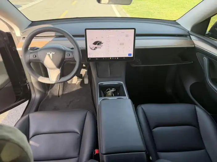 Model Y 2021 Model Standard Battery Life Rear-wheel drive version – фото 8