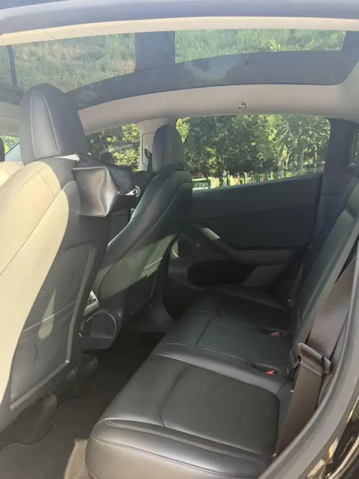 Model Y 2021 Model Standard Battery Life Rear-wheel drive version – фото 10
