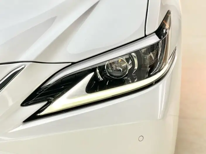 Lexus ES 2020 Model 300h Superior Edition China VI – фото 6