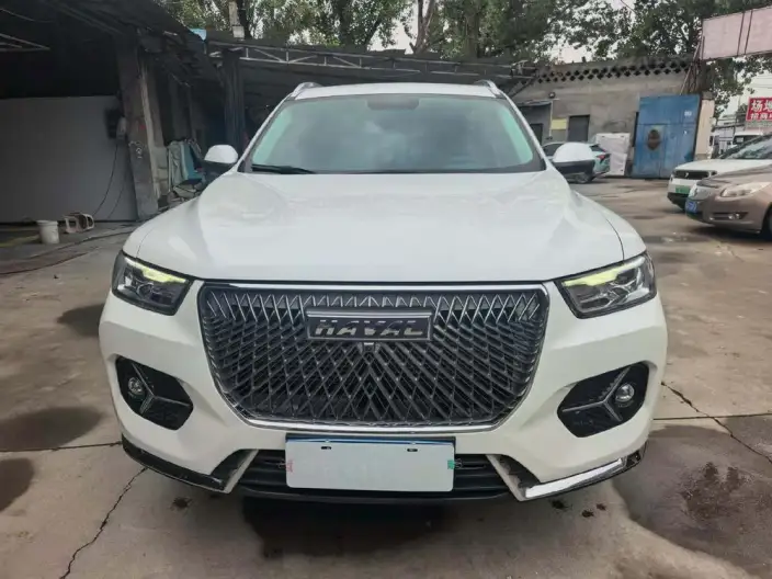 Haval H6 2021 Model Guo Trendy Edition 2.0GDIT Automatic Champion Edition – фото 2