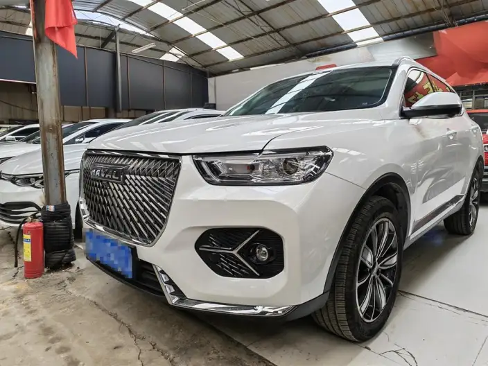 Haval H6 2021 Model Guo Trendy Edition 2.0GDIT Automatic Champion Edition – фото 10