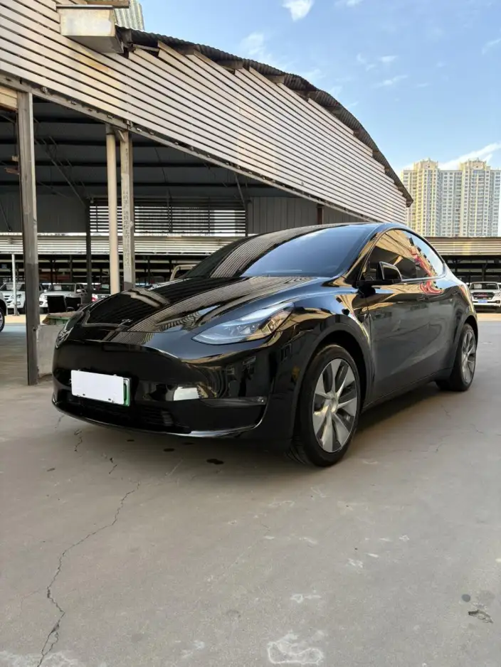 Model Y 2021 Model Standard Battery Life Rear-wheel drive version – фото 1