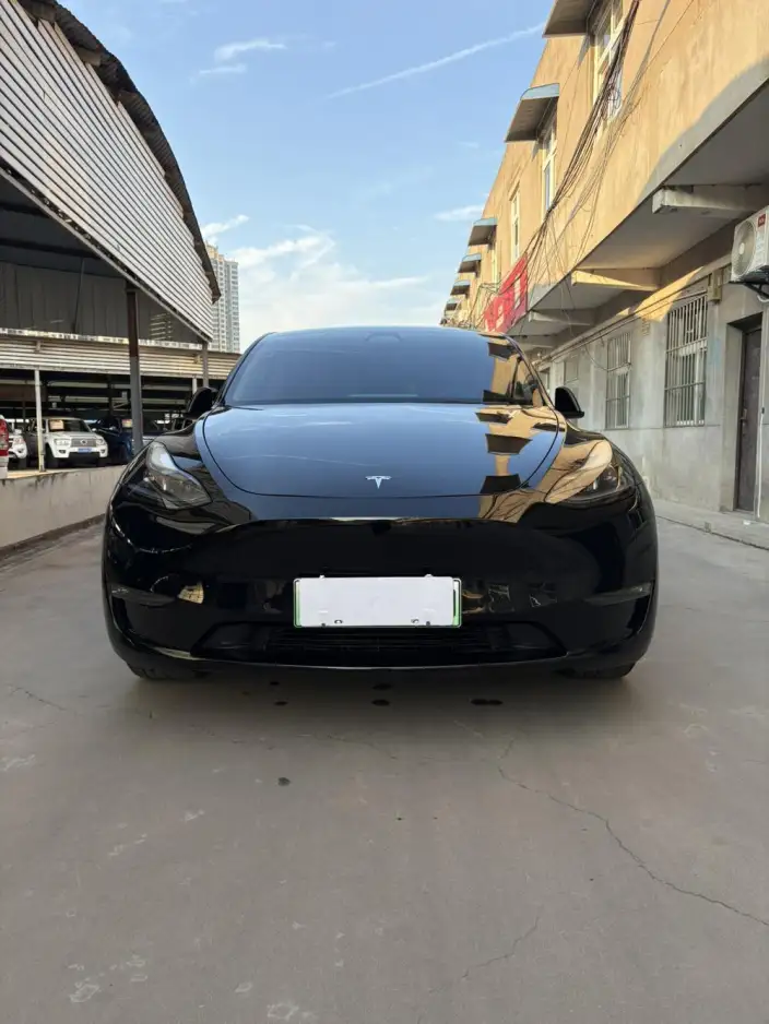 Model Y 2021 Model Standard Battery Life Rear-wheel drive version – фото 2
