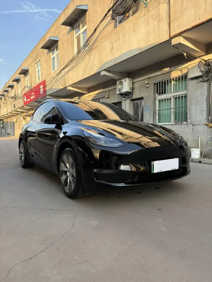 Model Y 2021 Model Standard Battery Life Rear-wheel drive version – фото 3