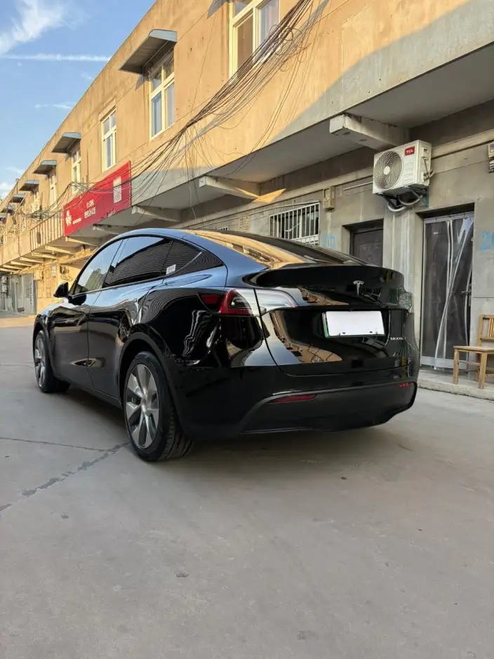Model Y 2021 Model Standard Battery Life Rear-wheel drive version – фото 4
