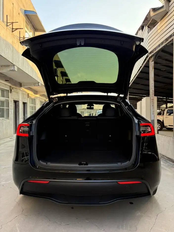 Model Y 2021 Model Standard Battery Life Rear-wheel drive version – фото 5