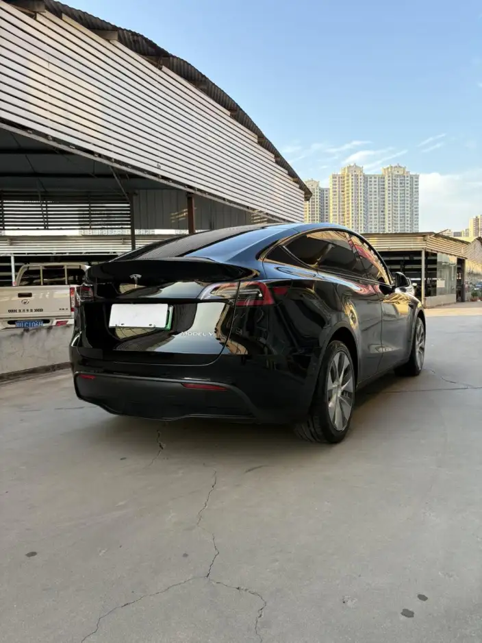 Model Y 2021 Model Standard Battery Life Rear-wheel drive version – фото 6