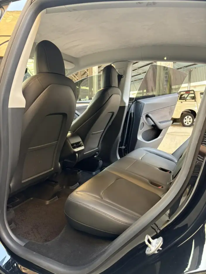 Model Y 2021 Model Standard Battery Life Rear-wheel drive version – фото 9