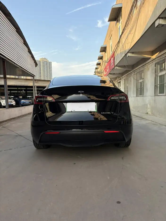 Model Y 2021 Model Standard Battery Life Rear-wheel drive version – фото 10