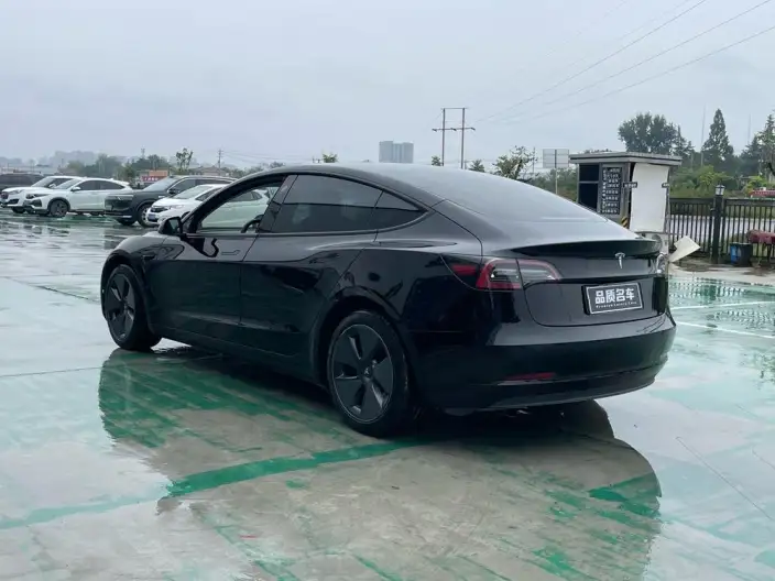 Model 3 2021 Model Standard Battery Life Rear Drive L Class Edition – фото 4