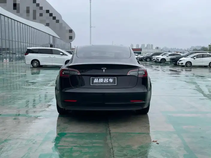 Model 3 2021 Model Standard Battery Life Rear Drive L Class Edition – фото 5