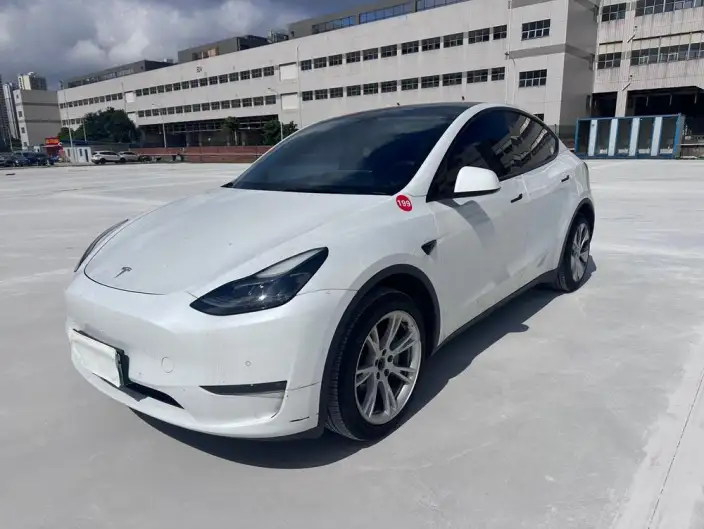 Model Y 2021 Model Long Battery Life Pro All-wheel drive version – фото 1