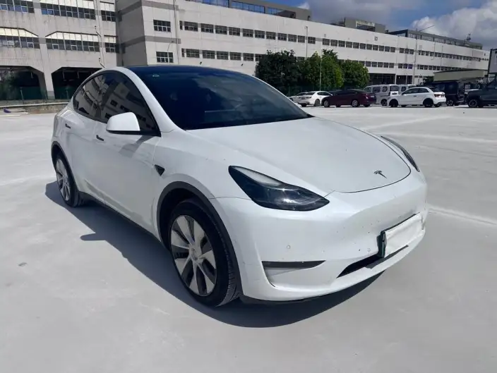 Model Y 2021 Model Long Battery Life Pro All-wheel drive version – фото 3