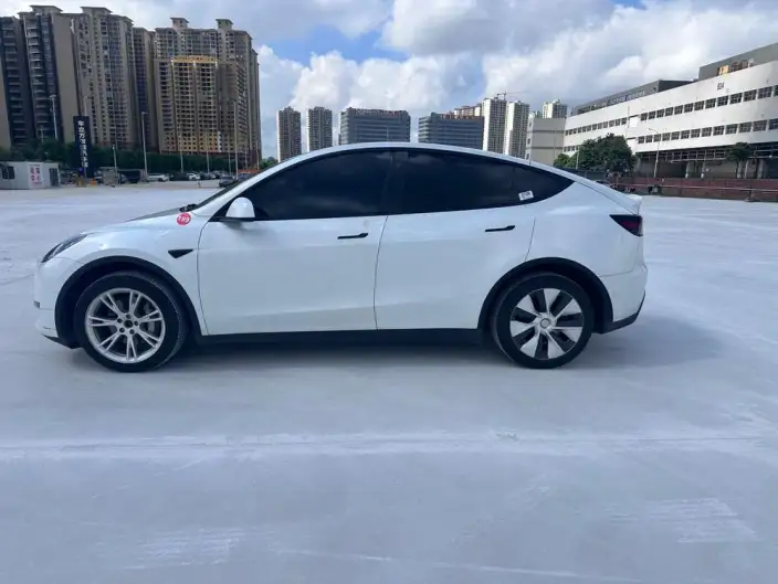 Model Y 2021 Model Long Battery Life Pro All-wheel drive version – фото 4