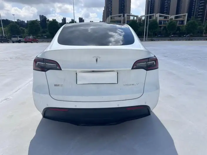 Model Y 2021 Model Long Battery Life Pro All-wheel drive version – фото 6