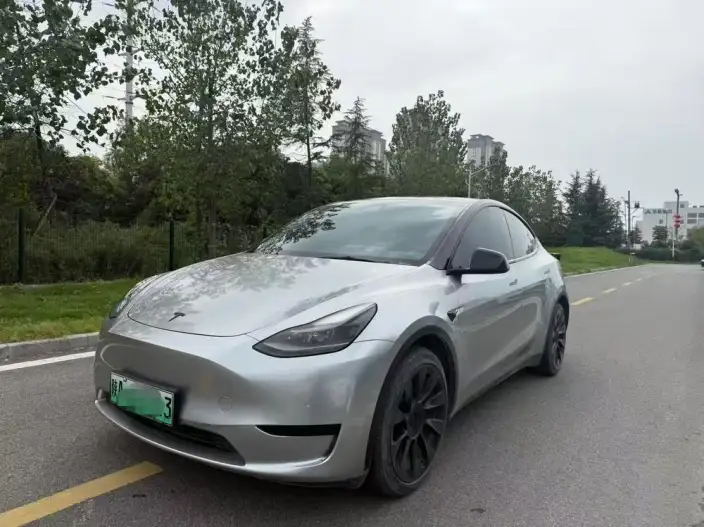 Model Y 2022 Model Rear-wheel drive version – фото 10