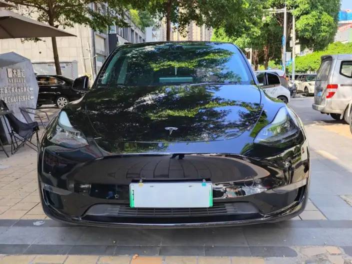 Model Y 2021 Model Standard Battery Life Rear-wheel drive version – фото 2