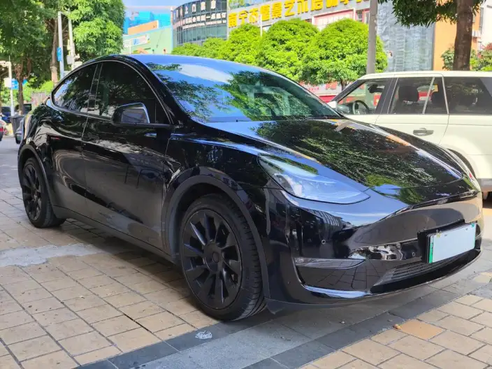 Model Y 2021 Model Standard Battery Life Rear-wheel drive version – фото 3