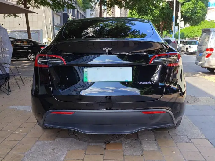 Model Y 2021 Model Standard Battery Life Rear-wheel drive version – фото 4