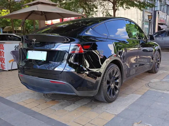 Model Y 2021 Model Standard Battery Life Rear-wheel drive version – фото 5
