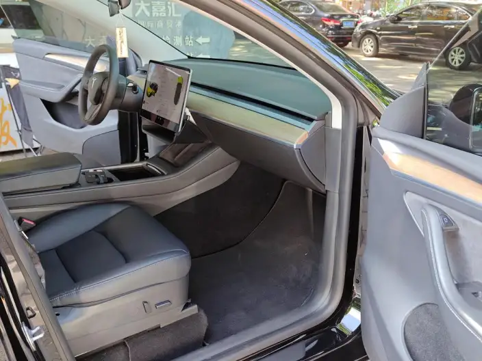 Model Y 2021 Model Standard Battery Life Rear-wheel drive version – фото 6