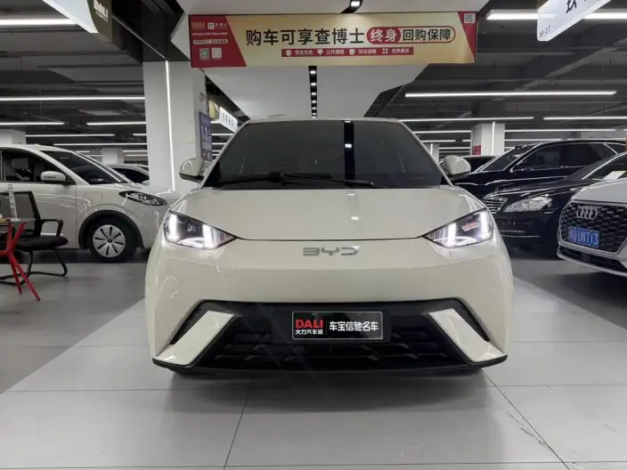 BYD Seagull 2023 Model Free Edition – фото 2
