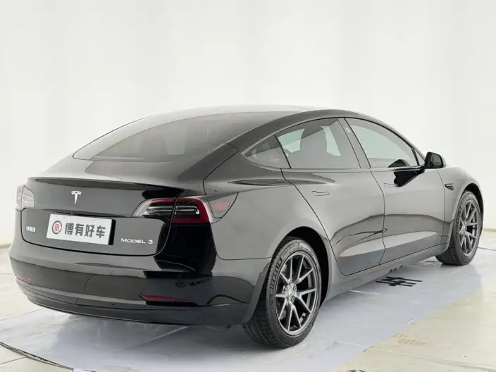 Model 3 2021 Model Standard Battery Life Rear Drive L Class Edition 3D6 – фото 7