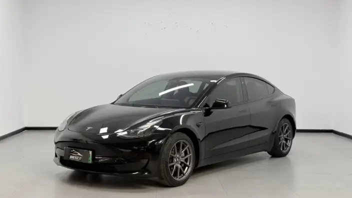Model 3 2022 Model Rear-wheel drive version – фото 1