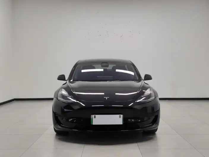 Model 3 2022 Model Rear-wheel drive version – фото 2