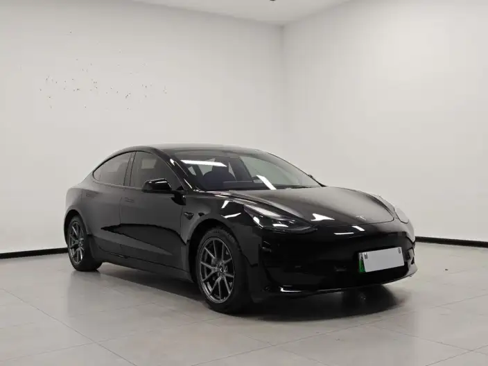 Model 3 2022 Model Rear-wheel drive version – фото 3