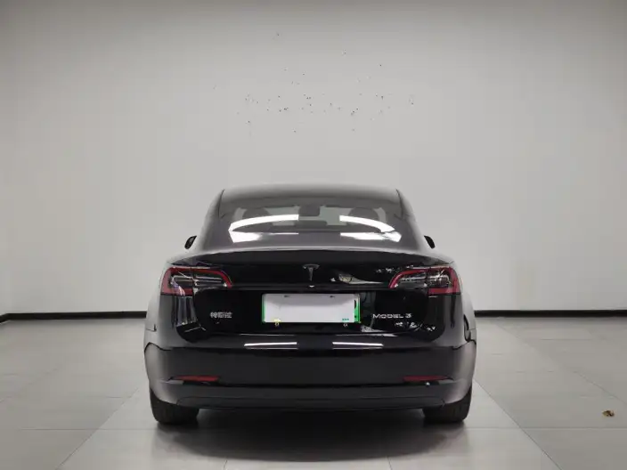 Model 3 2022 Model Rear-wheel drive version – фото 5