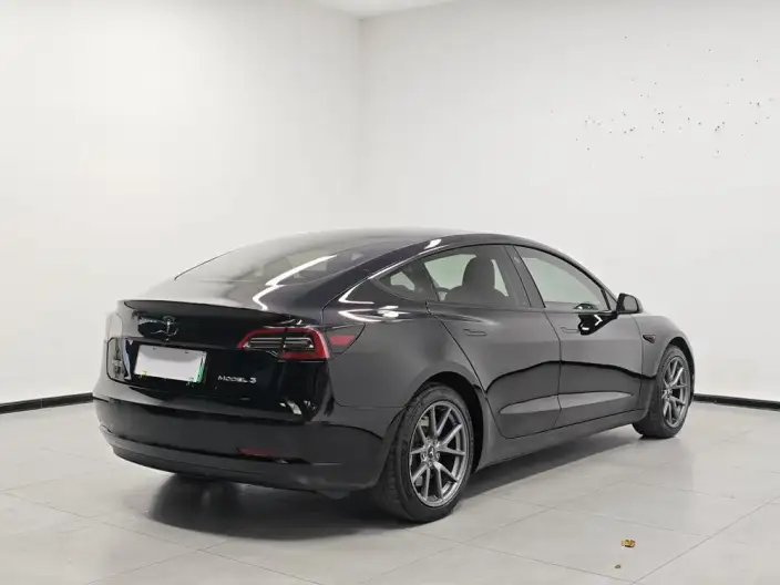 Model 3 2022 Model Rear-wheel drive version – фото 6