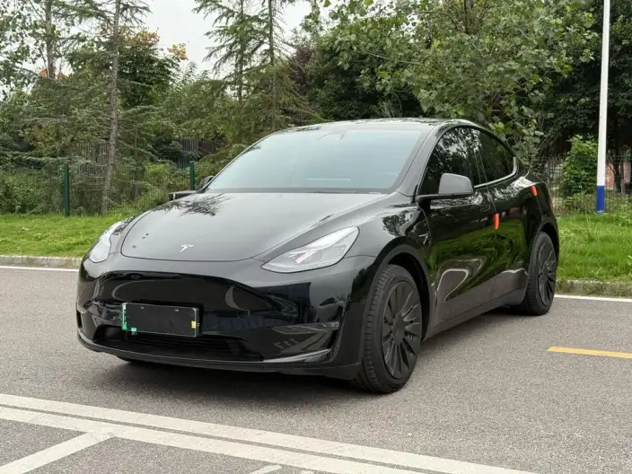 Model Y 2021 Model Standard Battery Life Rear-wheel drive version – фото 1