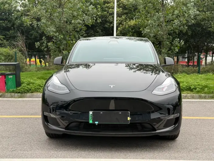 Model Y 2021 Model Standard Battery Life Rear-wheel drive version – фото 2