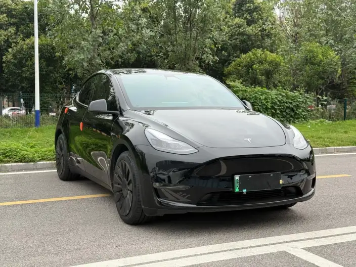 Model Y 2021 Model Standard Battery Life Rear-wheel drive version – фото 3