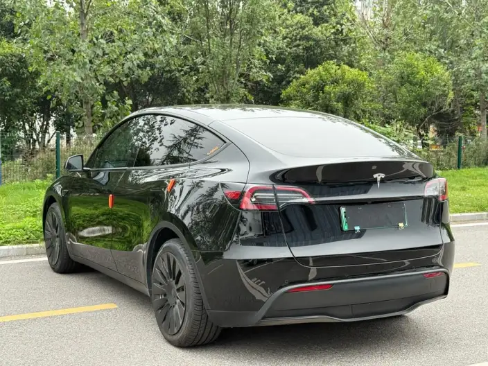 Model Y 2021 Model Standard Battery Life Rear-wheel drive version – фото 4