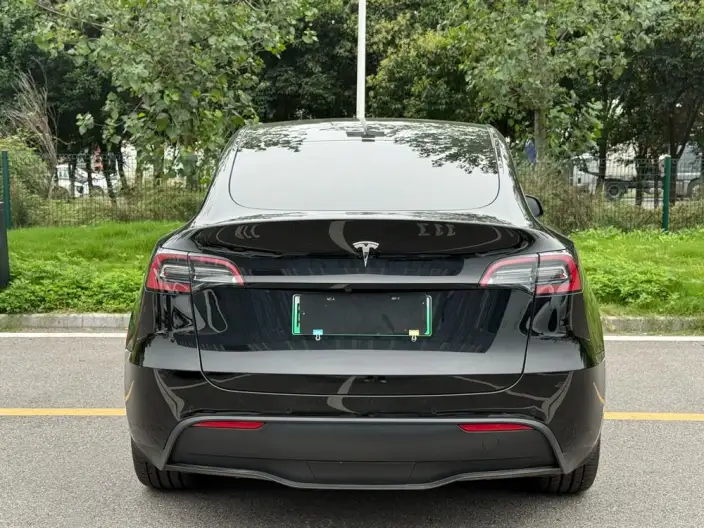 Model Y 2021 Model Standard Battery Life Rear-wheel drive version – фото 5