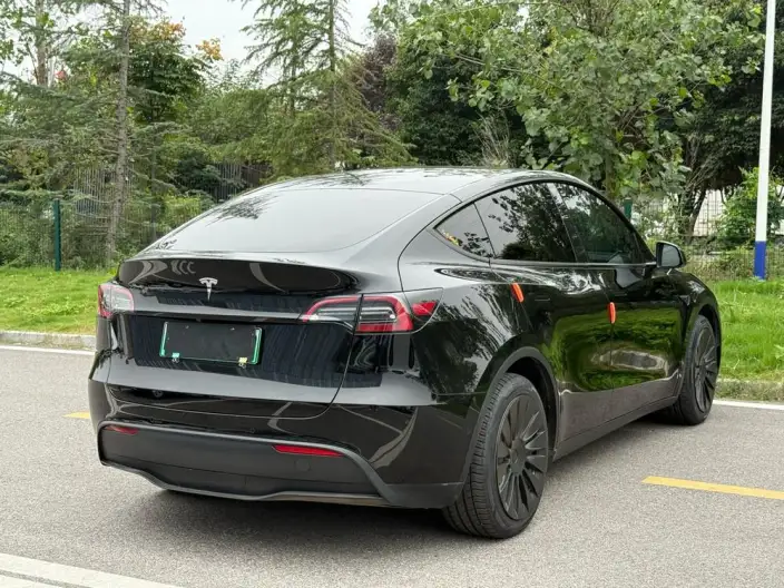 Model Y 2021 Model Standard Battery Life Rear-wheel drive version – фото 6