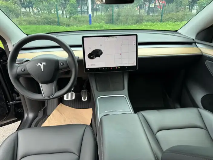 Model Y 2021 Model Standard Battery Life Rear-wheel drive version – фото 7