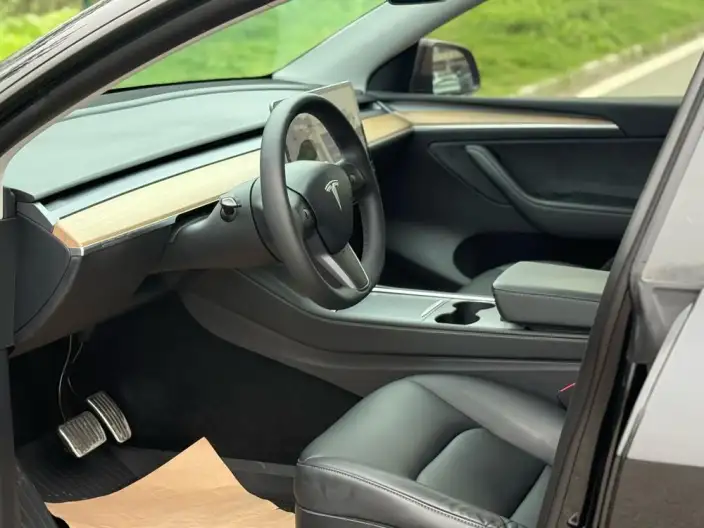 Model Y 2021 Model Standard Battery Life Rear-wheel drive version – фото 8