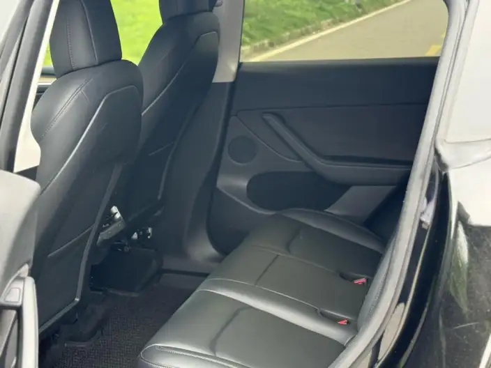 Model Y 2021 Model Standard Battery Life Rear-wheel drive version – фото 9