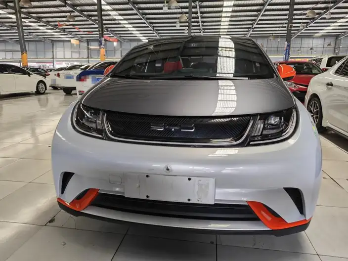 BYD Dolphin 2021 Model Fashion Edition – фото 2
