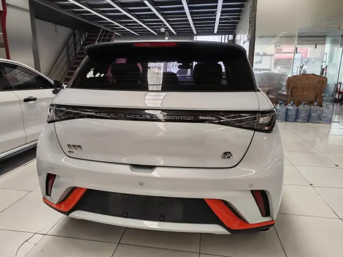 BYD Dolphin 2021 Model Fashion Edition – фото 5