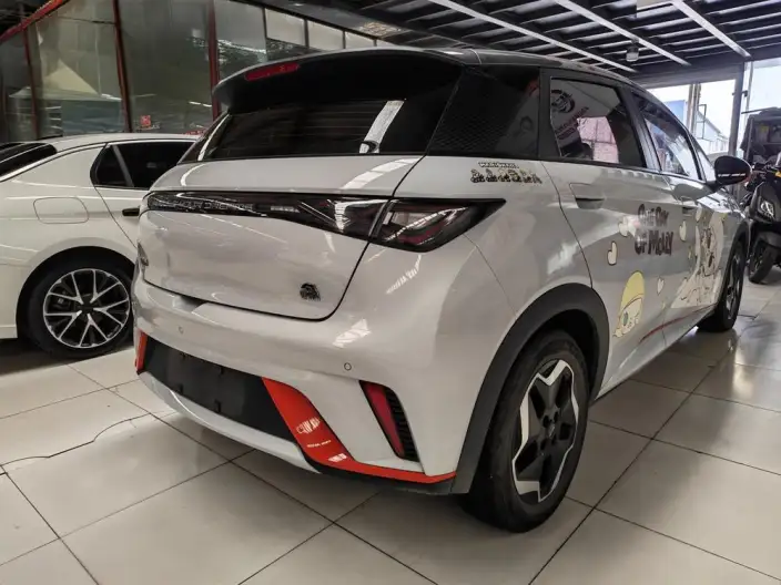 BYD Dolphin 2021 Model Fashion Edition – фото 6