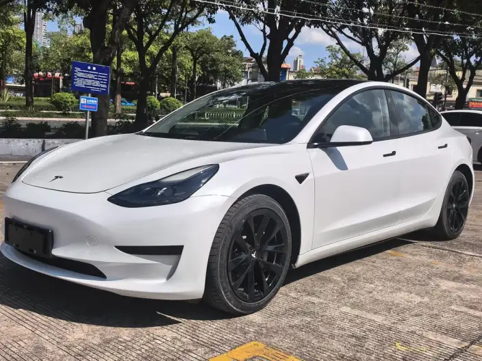 Model 3 2022 Model Rear-wheel drive version – фото 1