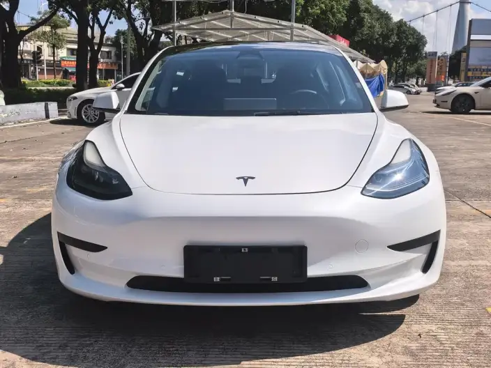 Model 3 2022 Model Rear-wheel drive version – фото 2
